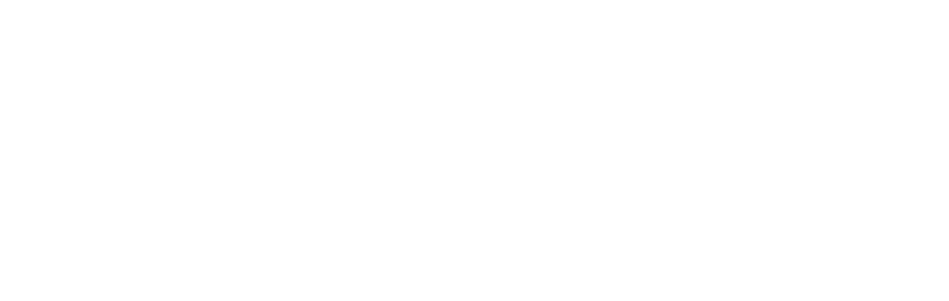 Snow Sports Foundation